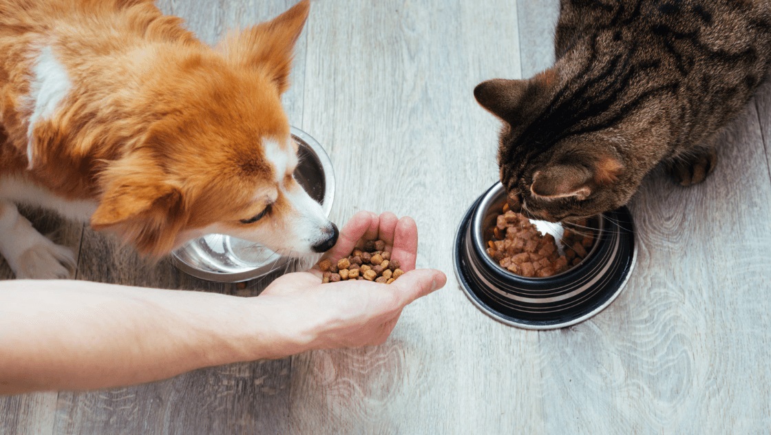 The Importance of Integrated Formulation Software in Pet Food Manufacturing